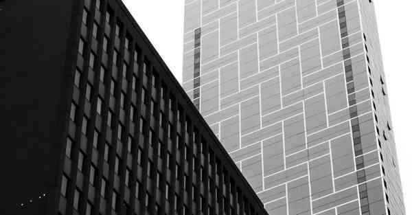 智能机器人娜塔莎，HIRATA机器人