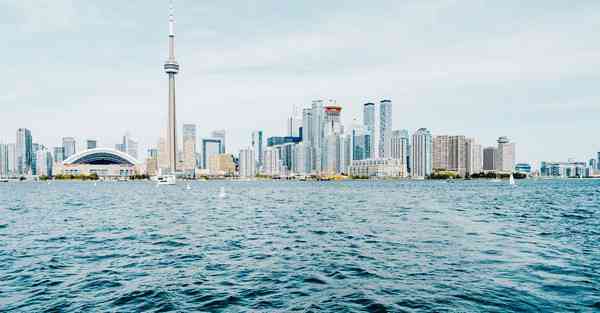 大数据助力茶叶