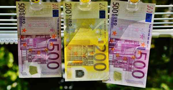 外国语单招大数据的行业文章