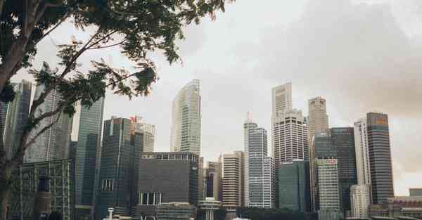 外国语单招大数据的行业文章