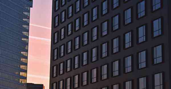 外国语单招大数据的行业文章