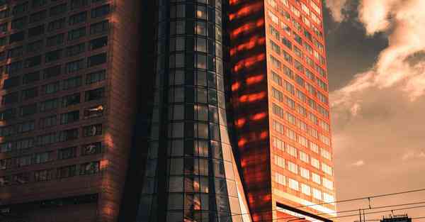 外国语单招大数据的行业文章