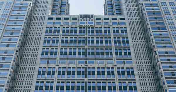 外国语单招大数据的行业文章