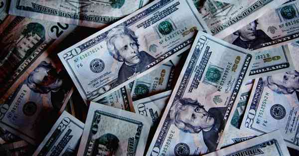 硬核宠物大数据