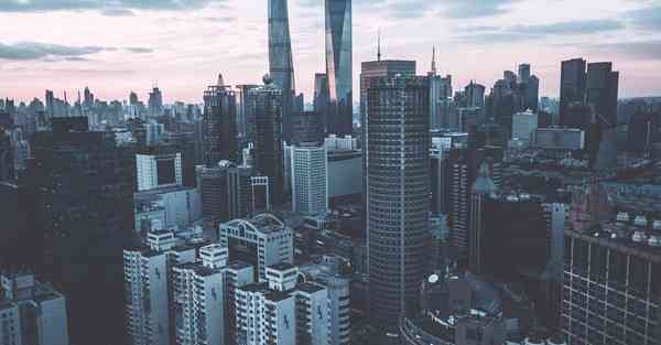 外国语单招大数据的行业文章