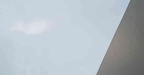 外国语单招大数据的行业文章