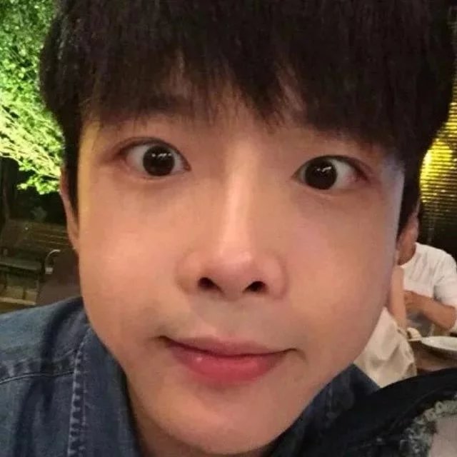 高初成梅