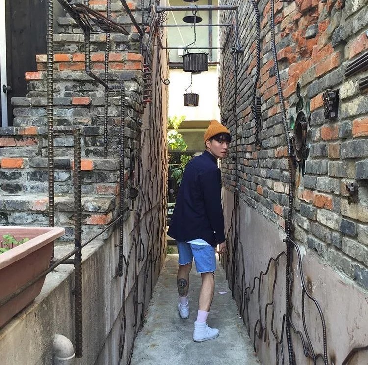 杨燕鹏康