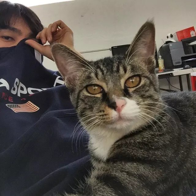 仇山振嘉