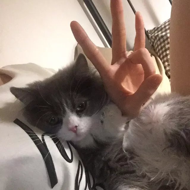 于琰可璧