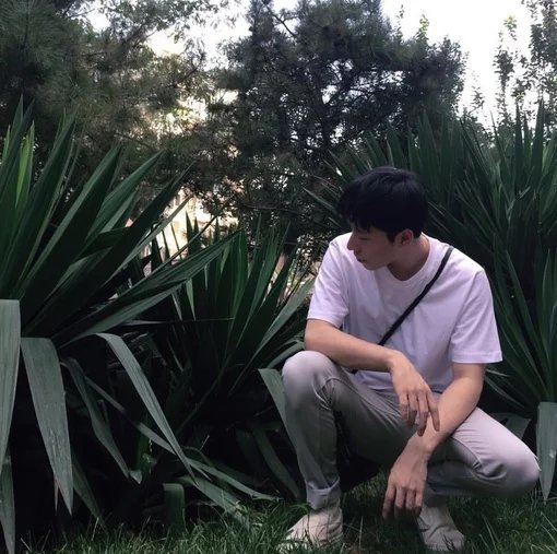 单于纯瑶芳