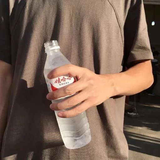 支茗兰树