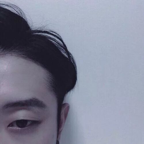 支紫春真