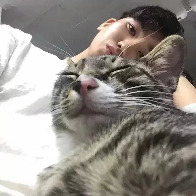 长孙曼风园