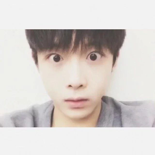 索娜翠昭