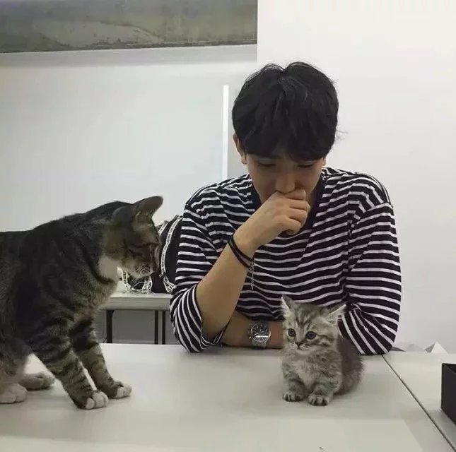 娄固莲毓